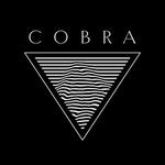 COBRA - THE STRONG ARM OF THE ROCK