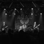 ABCM - Fat Lil's - WITNEY