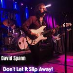 David Spann and his Band Live