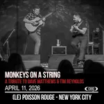 Monkeys On A String