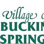 Dragonfly Band @ Village of Buckingham Springs (PRIVATE PARTY)