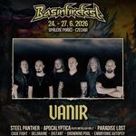 Basinfirefest