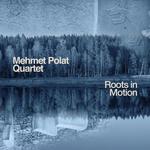 Mehmet Polat Quartet