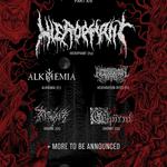 Forest Fest Open Air part XIII 2026