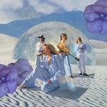 The Heart Collectors