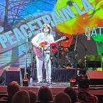 Cat Steves Tribute — Peace Train LA