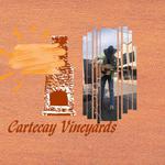 Cartecay Vineyards