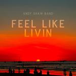 Andy Shaw Band