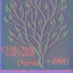 CEC @ Pleasuretone DIY