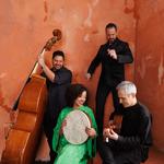 Seffarine at The Blue Strawberry, St. Louis