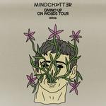 Mindchatter: Giving Up On Words Tour
