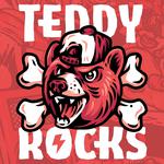 Teddy Rocks Festival 2026 (All Ages)
