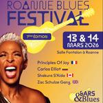 Roannne blues festival 2026