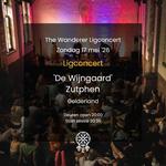 De Wijngaard - Ligconcert
