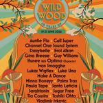 Wild Wood Disco 2026