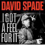 David Spade Live