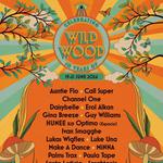 Wild Wood Disco 2026