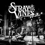 Stray Vines
