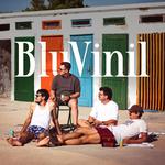 BluVinil