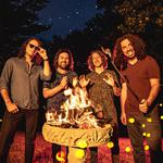 Pigeons Playing Ping Pong