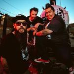 Los Punksitos Carinosos