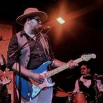 Marco Olita and The Bloosers Live 