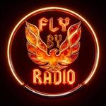 Fly By Radio