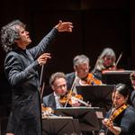 Beethovens Vioolconcert & Stravinsky’s Sacre