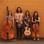 Redd & The Paper Flowers