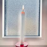 WILLIAM STAR: THE VIP TOUR 