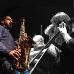 Amit Friedman Jazz With Strings Series 