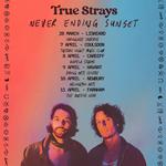 NEVER ENDING SUNSET TOUR (Part II)