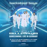 Into The Millennium HOMECOMING: Live In Germany