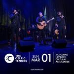 The Celtic Tenors - Signature Harmonies, Rich Style
