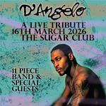 D'Angelo - A Live Tribute