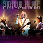 The Villages Florida 