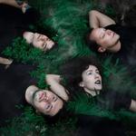 SNAKES SNAKES SNAKES