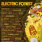 Electric Forest 2026