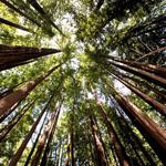 Queer Contra Dance Camp 2026