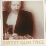 Sweet Gum Tree + The Apartments @ Le Chabada, ANGERS