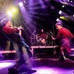 Between the Trees 2026