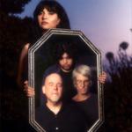 Aster Baby and the Wild Rabbits