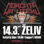 Morčata na útěku - Želiv