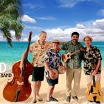 Island Time String Band live at Fall Street Brewing