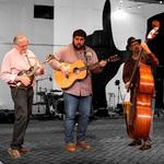 WhorlWood live at Fall Street Brewing