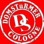 Domstürmer