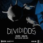 Divididos en Salta