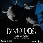 Divididos en La Plata