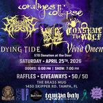 Music VS Domestic Violence