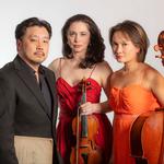 The Muse - Trio Anima Mundi